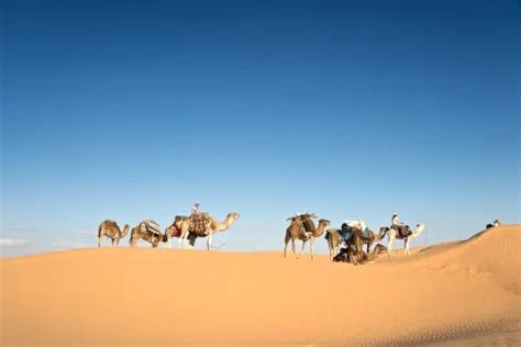 saharasdessert|Visiter le Sahara